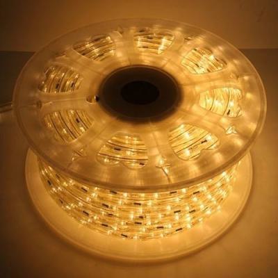  Cordon LED Touret44m Blanc cd 