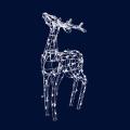  Reindeer H0,90m BL 