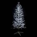  SPRAY-Sapin H2,10m BL p�t 