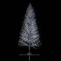  SPRAY-Sapin XL H4m BLC p�t 
