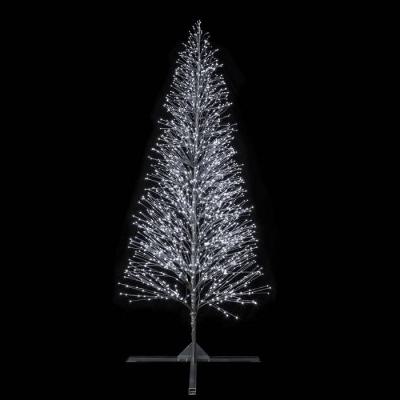  SPRAY-Sapin XL H4m BLC p�t 