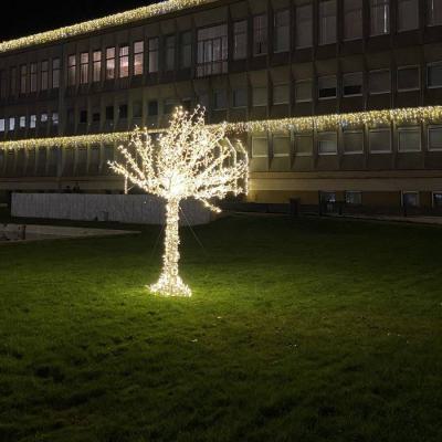  Fairy Tree H2,00m BL CH p�t 
