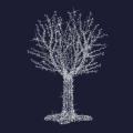  Fairy Tree H4,00m BL p�t 