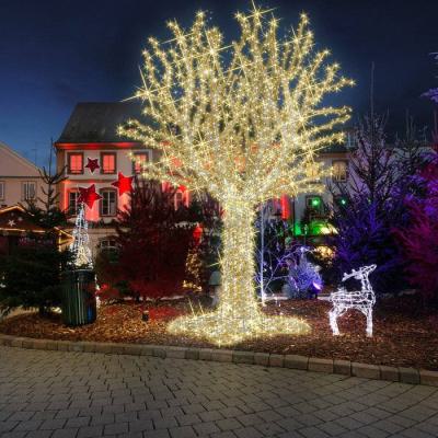  Fairy Tree H4,00m BL CH p�t 