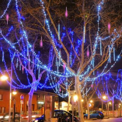  Rallonge LED Racc L3m Blu 