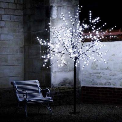  Wizard-Arbre H2,50m 