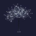  Wizard-Arbre H1,90m 