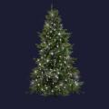  Pine Tree H2,3m O1,35m BL 