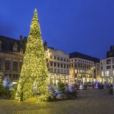  Sapin Passage H7,20m BL CH p�t 