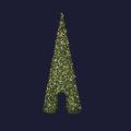  Sapin Passage H10m BL CH p�t 