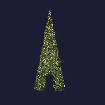  Sapin Passage H10m BL CH p�t 