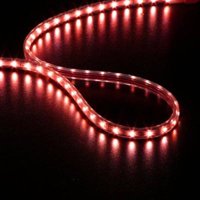  STRIP LED Touret 30m Rouge 