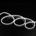  N�on touret 30m o9mm BL 