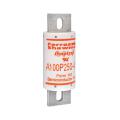  94834-FUSE FORM 101 