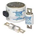  SC FUSE 300V 80A QS BLADE 