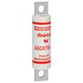 600V 70A SEMICOND FUSE 