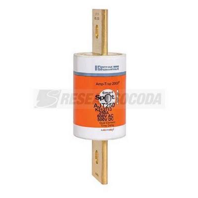  600V 250A CLASS J TD FUSE 