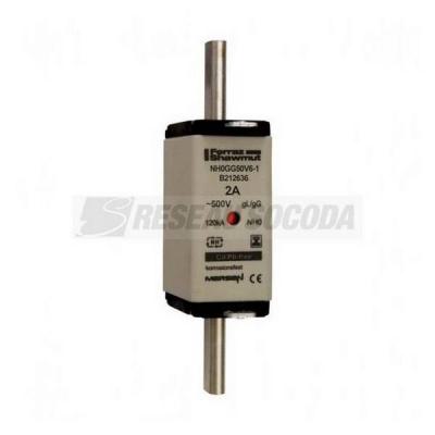  NH 0 6A 500V GG SGL 