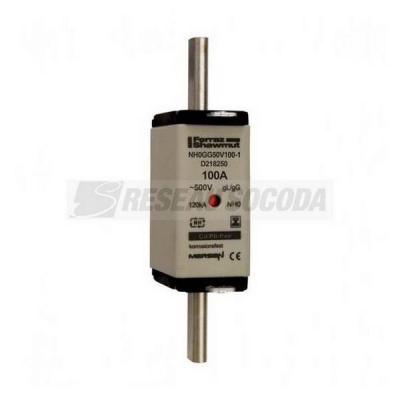  NH 0 100A 500V GG SGL 