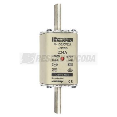  NH 1 224A 500V GG 