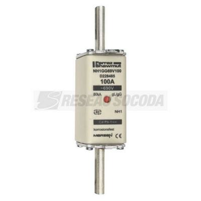  NH 1C 100A 690V GG 
