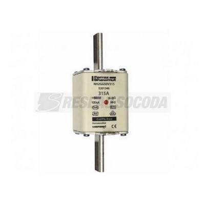  NH 2 315A 500V GG 