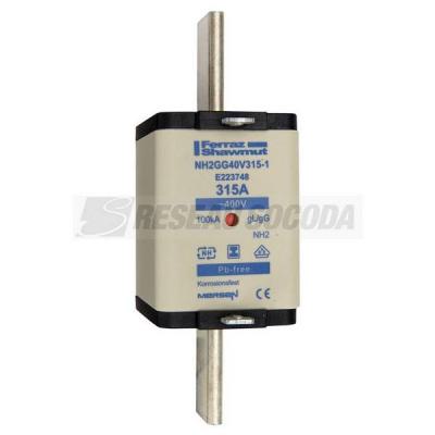  NH 2 315A 400V GG SGL 