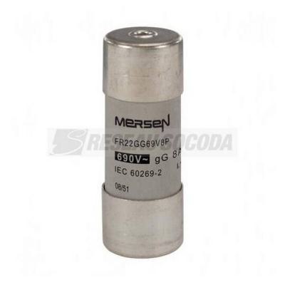  690V CP 22X58 GG 8A P 