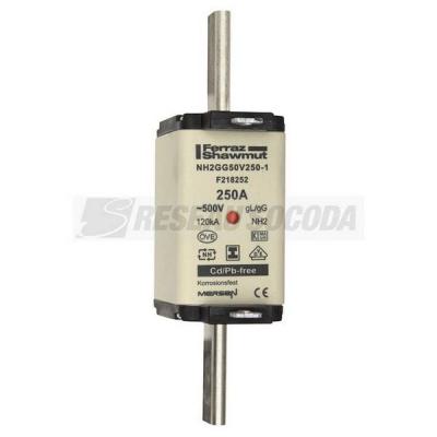  NH 2 250A 500V GG SGL 
