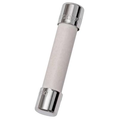  125VAC 25A 1-1/4 X 1/4 FUSE 