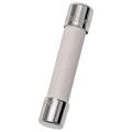  125VAC 30A 1-1/4 X 1/4 FUSE 