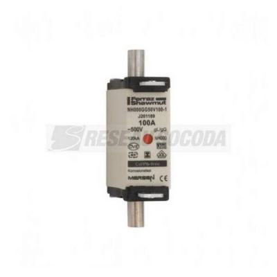  NH 000 100A 500V GG SGL 