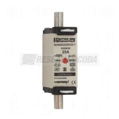 NH 000 25A 500V GG SGL 