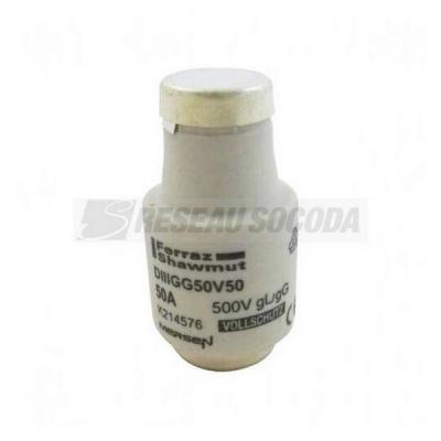 DIII-FUSE 500V 50A GL-GG 