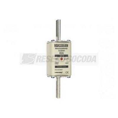 NH 2C 40A 690V GG 