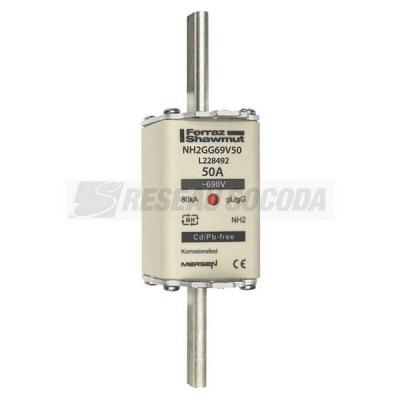  NH 2C 50A 690V GG 