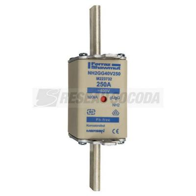  NH 2C 250A 400V GG 