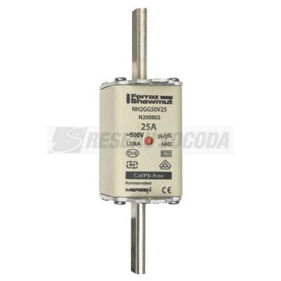  NH 2C 25A 500V GG 