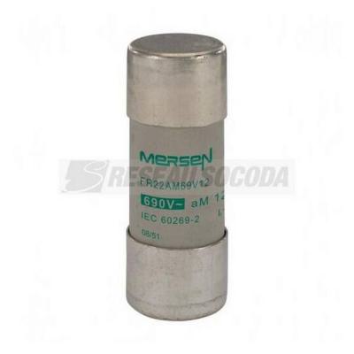  690V CP 22X58 AM 8A S/I 