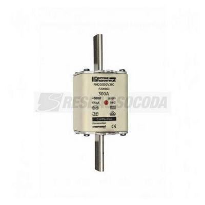  NH 2 300A 500V GG 