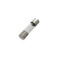  Verre 5x20 T 250V 8A 