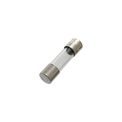  Verre 5x20 T 250V 8A 