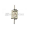  NH 2C 100A 500V GG SGL 
