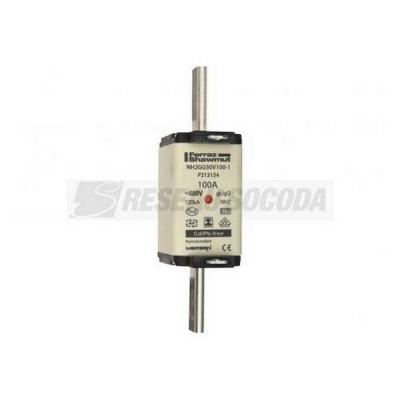  NH 2C 100A 500V GG SGL 