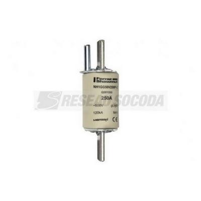  500V NH1 C/P gG 250A 