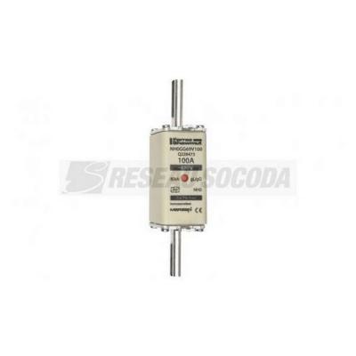  NH 0 100A 690V GG 