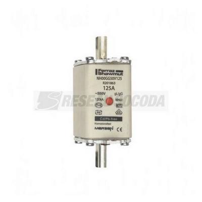  NH 00 125A 500V GG 