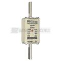  NH 2C 250A 500V GG 