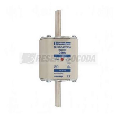  NH 3C 250A 400V GG 