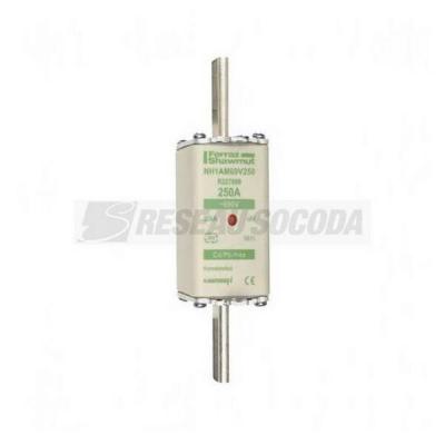  NH 1 250A 690V AM 